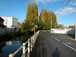  peupliers le long du cours d'eau